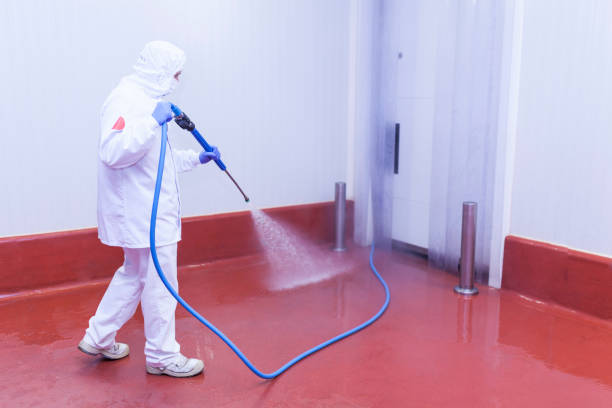 Boat and Dock Cleaning in Oak Grove, OR